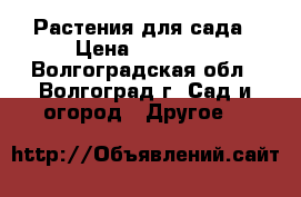 Растения для сада › Цена ­ 50-100 - Волгоградская обл., Волгоград г. Сад и огород » Другое   